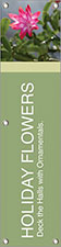 Full Sheet 'Outdoor Paper' (100 Sheets No Perforations)