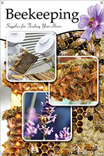 Accent Plants 12