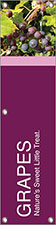Shop Online 5ft x 3ft